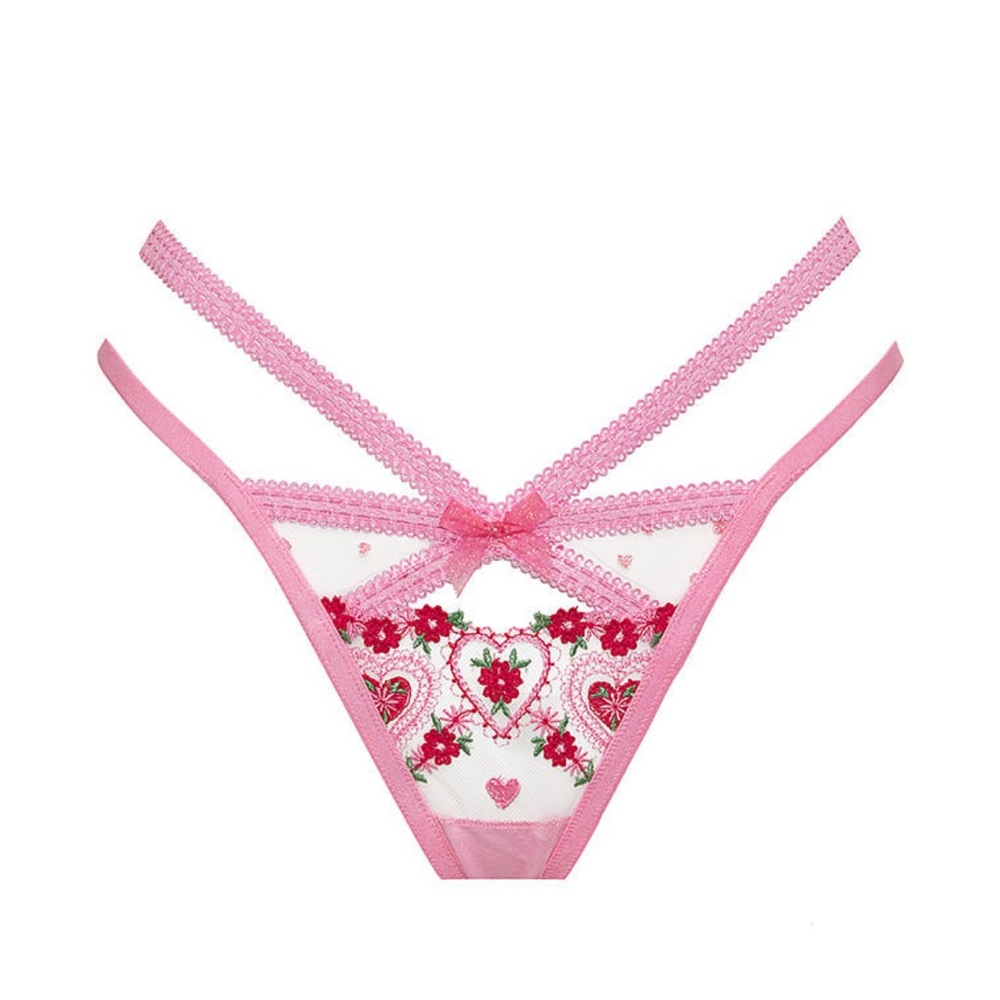 BNWT Whimsical Garden Thong Panty XS